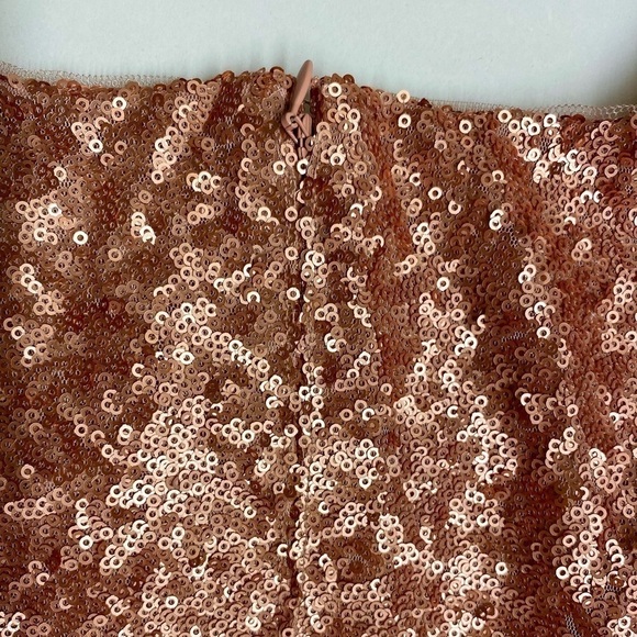 NWT Gianni Bini Juliet Dress Rose Sequin Feminine Fairytale Size 4 - Picture 12 of 17